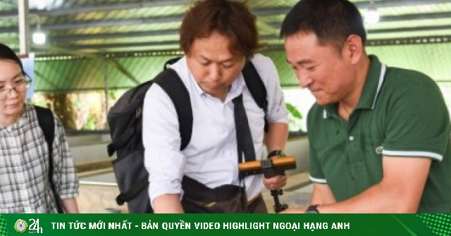 Bỏ việc ngân hàng về nuôi lươn, người đàn ông xây mô hình lớn nhất miền Bắc