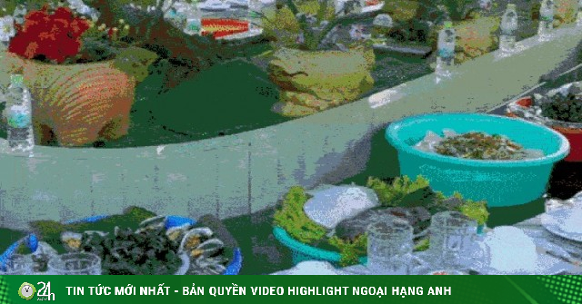 Đám giỗ độc lạ ở An Giang, gia chủ bày món trên chậu nhựa, tự trôi giữa bể cá