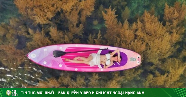 Ngẩn ngơ vẻ đẹp 'cánh đồng hoa' rong mơ trên biển Hòn Khô ở Gia Lai