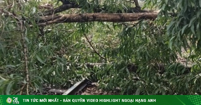 Nhân viên gác chắn kể phút chạy đua cứu đoàn tàu vận tốc 80km/h khỏi trật bánh