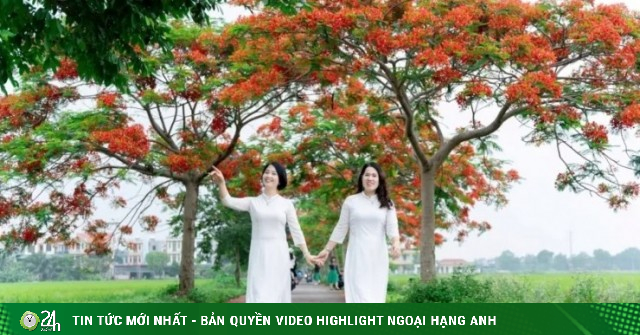 Rực rỡ đường hoa phượng ở Bắc Ninh, thu hút đông đảo du khách đến check in
