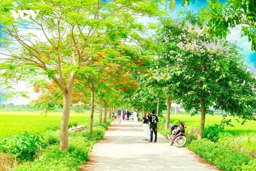 Giữ cho con đường luôn đẹp, luôn bình yên không chỉ là trách nhiệm của chính quyền địa phương, mà cần sự chung tay của mỗi bước chân du khách. Để rồi sang năm, và nhiều năm sau nữa, khi tiếng ve lại ngân lên khúc ca quen thuộc, ta lại hẹn nhau trở về Nam Viên, đi dưới vòm hoa thắp lửa, cảm nhận một sức sống căng tràn của vùng quê Bắc Ninh đang ngày một đổi mới nhưng vẫn vẹn nguyên nét duyên thầm, văn minh và lịch lãm.