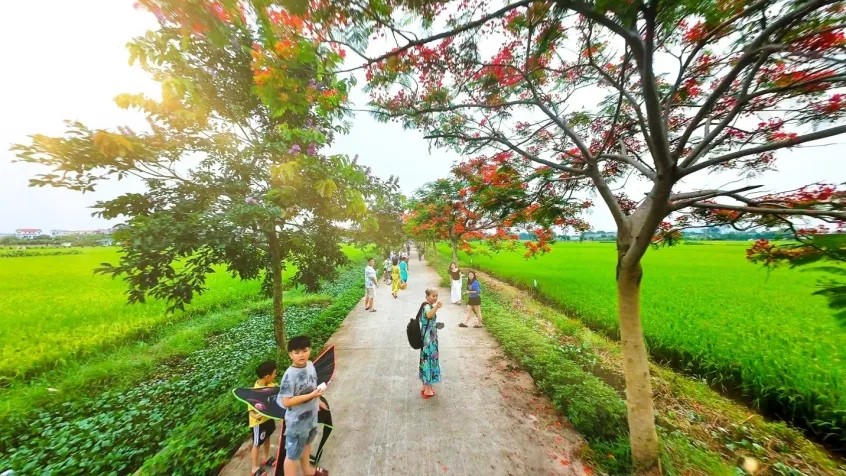 Vài năm trở lại đây, cứ mỗi mùa phượng nở, đường hoa Đức Mẹ Nam Viên lại trở thành "thánh đường" của những người yêu cái đẹp. Không phân biệt độ tuổi, tầng lớp, từ những tà áo dài thướt tha của các thiếu nữ, những cụ già tìm lại ký ức xưa, cho đến các bạn trẻ năng động ... tất cả đều bị mê hoặc bởi những bông hoa đỏ rực. Con đường như một chiếc cầu nối thời gian, gắn kết mọi thế hệ trong cùng một niềm xúc cảm trước vẻ đẹp của thiên nhiên.