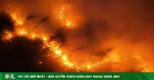 Cháy dữ dội tại rừng tràm ở Tây Ninh, hơn 40 người tham gia dập lửa