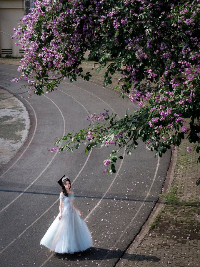 Hoàng Anh