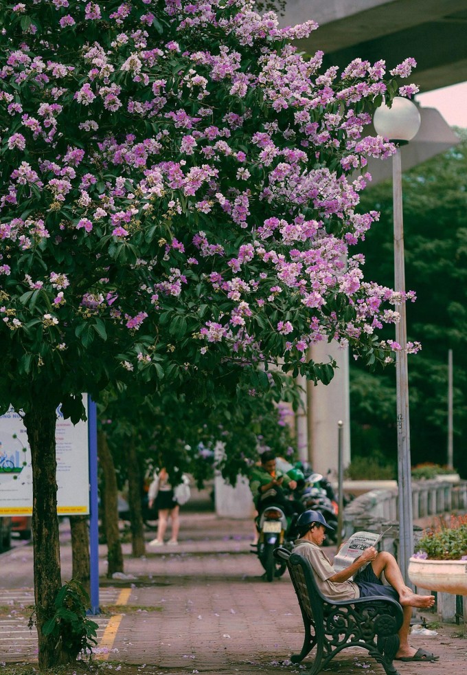 Đồng Văn Cường