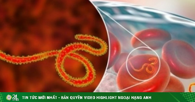 WHO báo động khẩn về Ebola, đáng ngại đến đâu, cần làm gì để phòng tránh?
