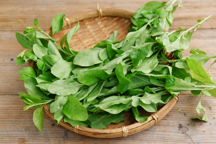 Loại rau ít người biết ăn, lại là dược liệu quý, bổ gan, trừ ẩm, thanh nhiệt, cải thiện thị lực, nấu cháo cực ngon - 4
