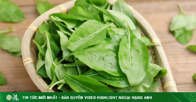 Loại rau ít người biết ăn, lại là dược liệu quý, bổ gan, trừ ẩm, thanh nhiệt, cải thiện thị lực, nấu cháo cực ngon