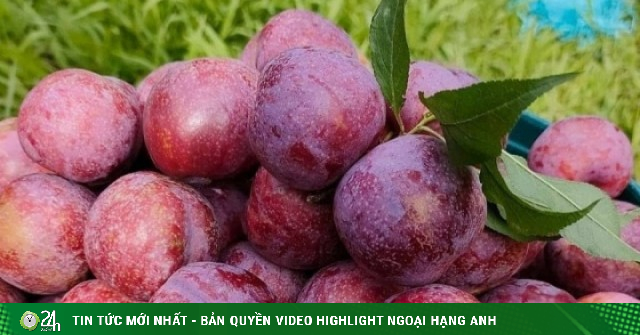3 loại quả đặc sản ngày hè ăn nhiều dễ nổi mụn, tăng cân