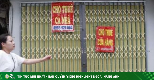 Gà đẻ trứng vàng tại Hà Nội đồng loạt rơi vào thảm cảnh la liệt biển cho thuê