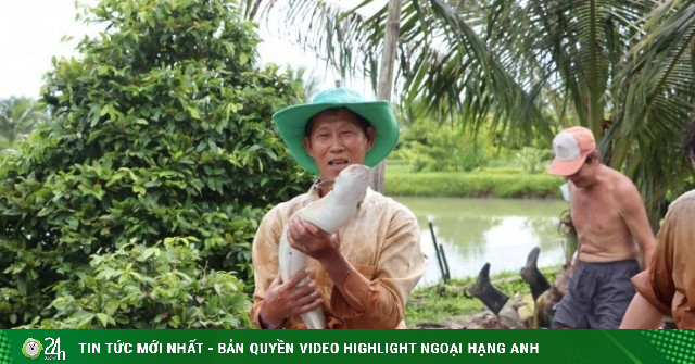 Nông dân Việt Nam xuất sắc- “vua cá đặc sản" ở Cà Mau làm cách nào mà lãi tiền tỷ từ 2 ao nuôi theo chuẩn VietGAP?