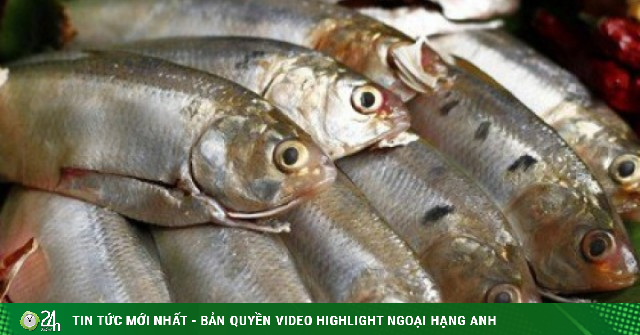Cá mòi kho: Bí quyết nấu đậm đà, rục xương mà vẫn giữ trọn dinh dưỡng