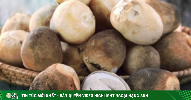 Loại "thuốc bổ tự nhiên" bán đầy ngoài chợ, dễ chế biến lại tốt cho sức khoẻ