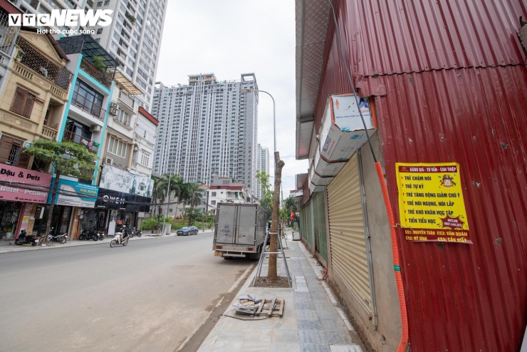 Dọc tuyến, hệ thống cây xanh đang dần hoàn thiện với các loại cây được trồng theo thiết kế như cây sang và lộc vừng. Hệ thống chiếu sáng cũng được triển khai đồng bộ ở nhiều đoạn đường.