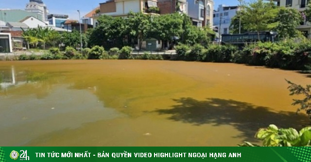 Mặt nước hồ Trái Tim ở Huế xuất hiện váng, đổi màu bất thường