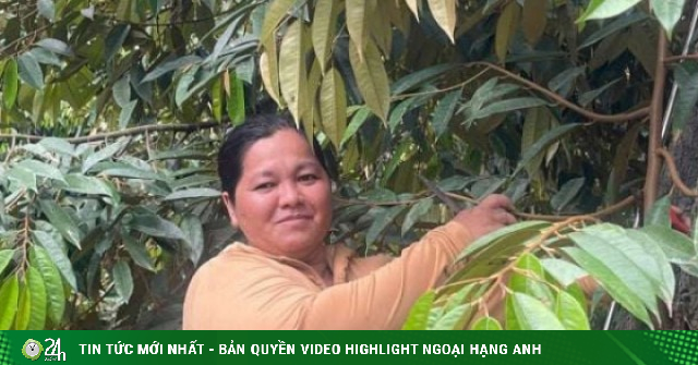 Xã Cái Bè, tỉnh Đồng Tháp mới (địa phận tỉnh Tiền Giang cũ) trồng loại quả tỷ đô theo cách này, doanh thu 2 tỷ/năm
