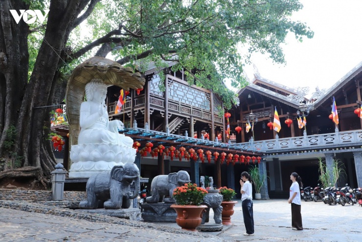 Tượng Phật lộ thiên dưới gốc bồ đề là điểm dừng chân được nhiều người yêu thích khi tham quan chùa.