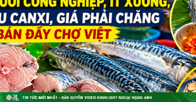 Những loại cá biển xịn, khó nuôi công nghiệp, ít xương, giàu canxi, giá phải chăng bán đầy chợ Việt