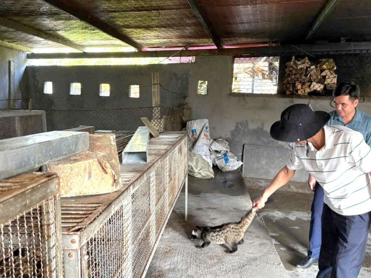 Anh Hoàng Văn Minh chia sẻ kinh nghiệm nuôi chồn hương cho người dân.
