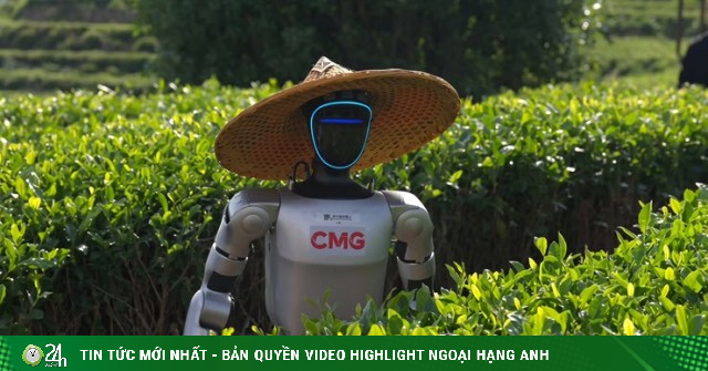Choáng váng viễn cảnh robot đổ bộ đồi trà xanh, tranh việc với nông dân