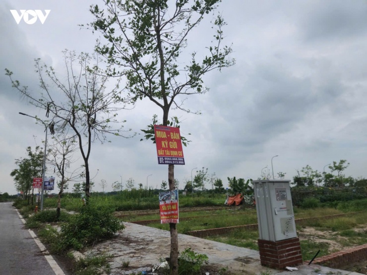 Giá đất tái định cư Thư Lâm (Hà Nội) tăng “nóng”, chính quyền cảnh báo giao dịch
