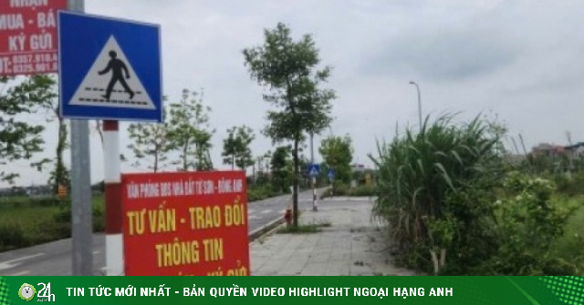 Giá đất tái định cư Thư Lâm (Hà Nội) tăng “nóng”, chính quyền cảnh báo giao dịch