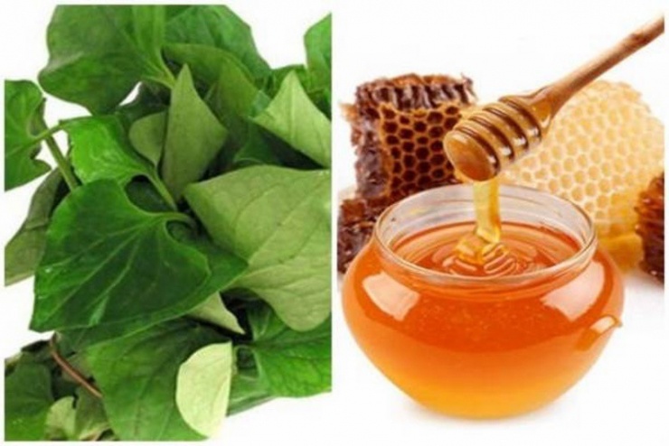 Mặt nạ rau diếp c&aacute; v&agrave; mật ong gi&uacute;p dưỡng ẩm, giảm th&acirc;m.