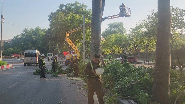 Những xe nâng có thể đưa công nhân cắt tỉa lên đến độ cao hơn 30m. Ghi nhận việc cắt sửa cây xanh tại đường Hoàng Diệu sáng 27/5. Ảnh: VA.