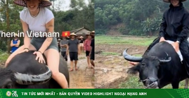 Du khách Tây đua nhau chia sẻ về trải nghiệm cưỡi trâu ở Việt Nam