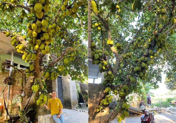 Liêu Hồ 