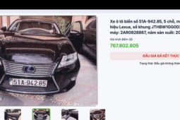 Hạ giá 2 xe sang của bà Trương Mỹ Lan để đấu giá lại