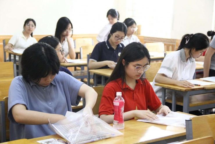 Toán, Tin học, Vật lý, Hóa học, Ngữ văn, Tiếng Anh, Địa lý, Sinh học.