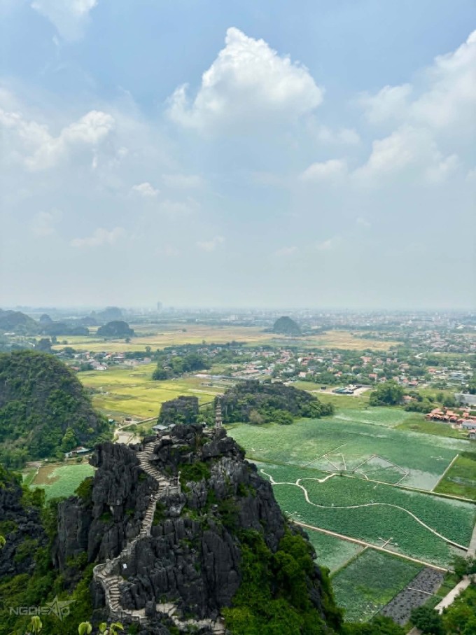 Thảo Nhi