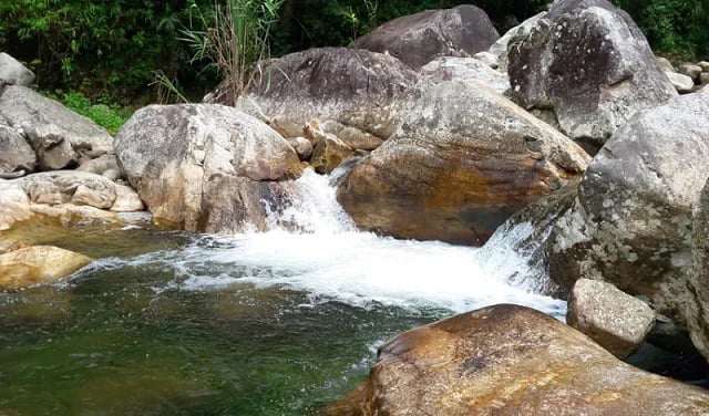 Loài cá sâm hay còn gọi là cá đắng thường ẩn mình ở các vực nước nhỏ, khe nước sâu ở các con suối qua dãy núi Hoàng Liên Sơn, tỉnh Lai Châu, trong đó có địa phận xã Sin Suối Hồ, huyện Phong Thổ trước đây.
