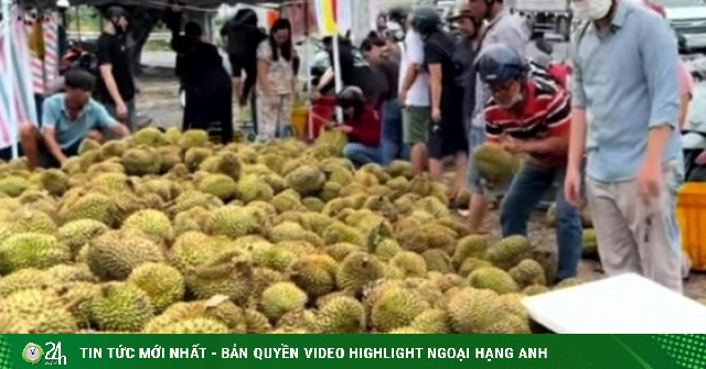 Mua sầu riêng non 'giải cứu' ven đường ở TP.HCM, người tiêu dùng lãnh đủ
