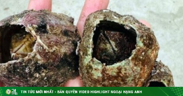 Đặc sản sần sùi “hiếm có khó tìm” hút khách sành ăn