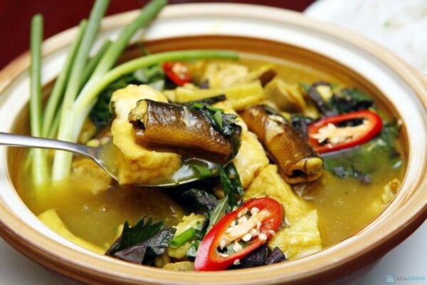 Vì sao mùa hè được khuyến khích nên ăn loại thịt được coi như "nhân sâm dưới nước" này? - 7