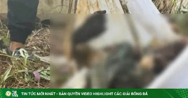 Xác định danh tính thi thể cháu bé phân hủy trong bệnh viện
