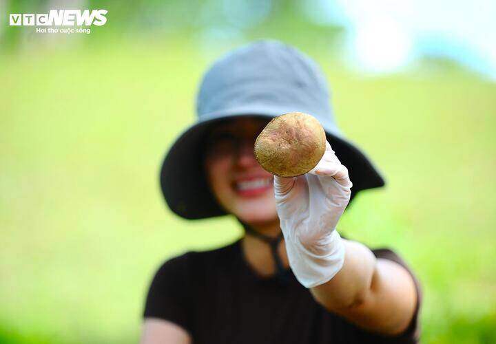 Và thỏa sức trải nghiệm các hoạt động ngoài trời giữa không gian mát mẻ, xanh tươi của Đà Lạt.