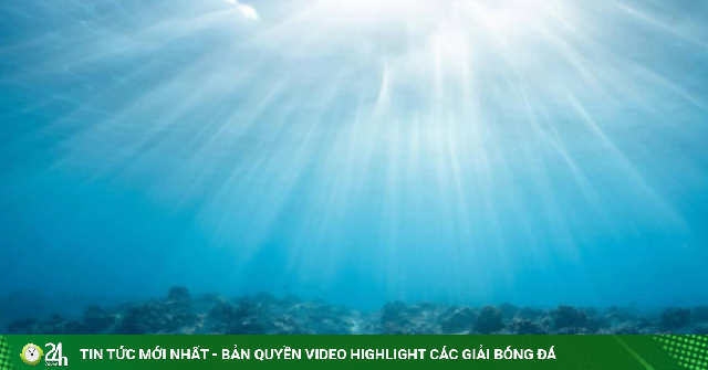 Trung Quốc báo động về "gián điệp" nguy hiểm ẩn náu dưới đáy biển, âm thầm đánh cắp bí mật nhạy cảm