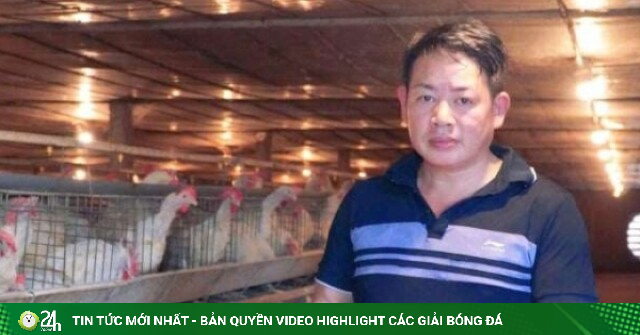 Nuôi gà đẻ trứng mấy nghìn con mà một nông dân Thái Nguyên xây nhà biệt thự giữa làng