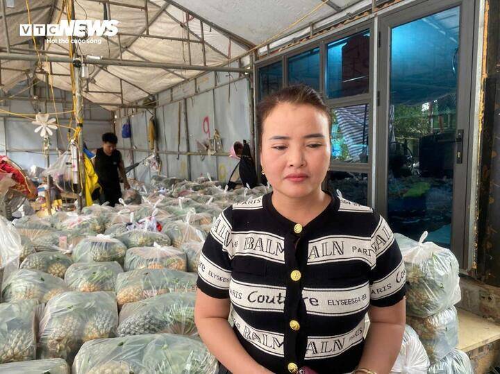 Đình Anh).
