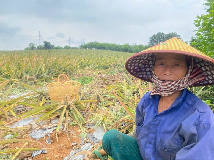 Đình Anh).
