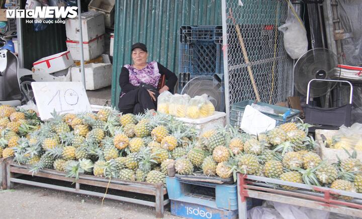 Phạm Duy).