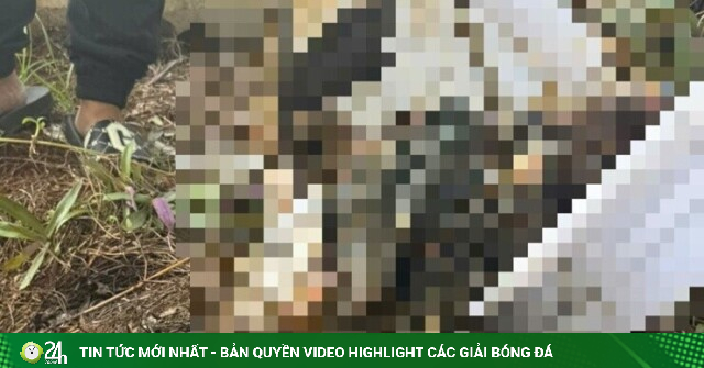 Xuất hiện tin sai sự thật sau vụ phát hiện thi thể tại Bệnh viện Đa khoa Bà Rịa
