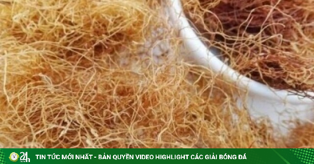 Vị thuốc dưỡng gan, bổ cho tim mạch, nhiều người không biết vẫn hay vứt bỏ