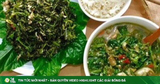 5 món ăn dân dã hấp dẫn, giàu dinh dưỡng từ lá sắn
