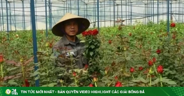 Hành trình lập nghiệp của những người con xa xứ
