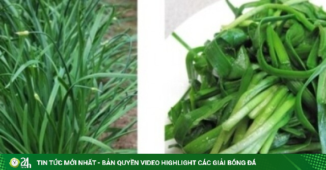 Cây thuốc nhỏ nhưng có võ, giúp bổ thận tráng dương, bảo vệ tim mạch lại dễ tìm